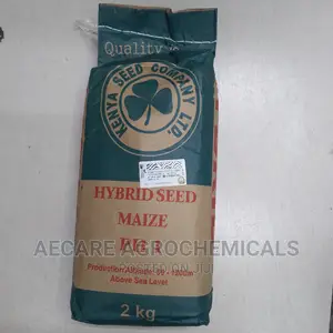Maize Ph 1 Hybrid Seeds 2kgs (Simlaw)