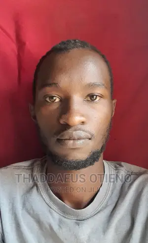 Software Engineer