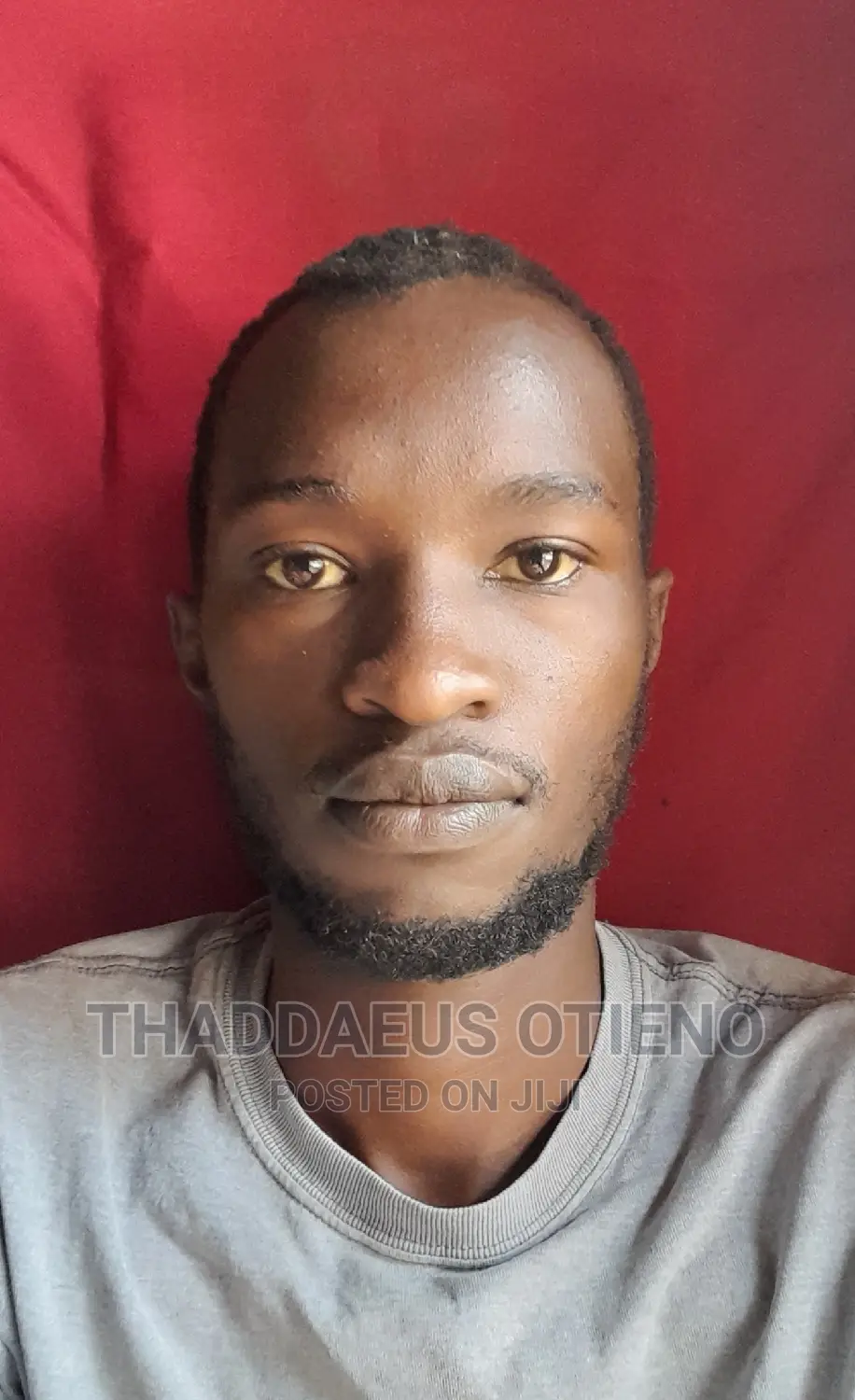 Software Engineer