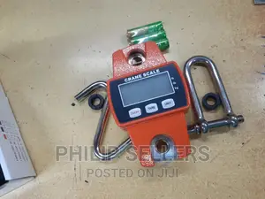 Digital Hanging Scale 300 Kg / 600 LBS Ocs-L Industrial Cran