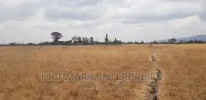 14 Acres for Sale in Malaa