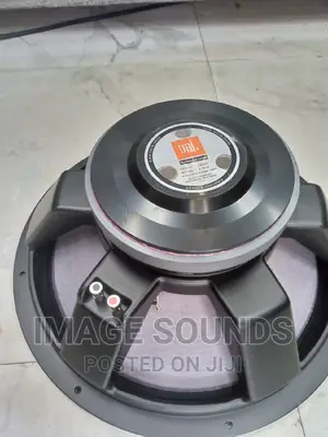 JBL Naked 18inch Bass Speaker