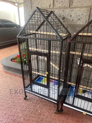 Brand New Parrot Cages