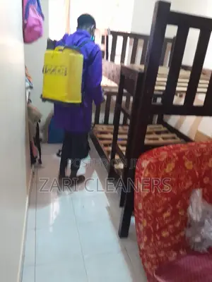 Maximum Bedbugs Removal South B