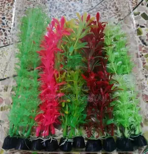 Long Plants , Aquarium Plants.