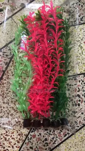 Aquarium Plants , Different Colours Decor.