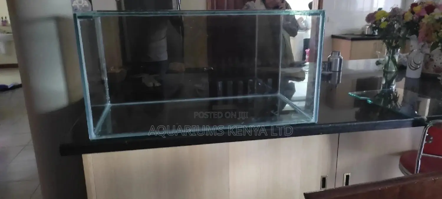 Aquarium With Black Background Glass