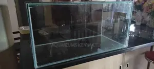 Black Background for Aquarium , Aquarium