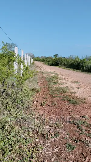 Galu Quarter Acre Prime Plots