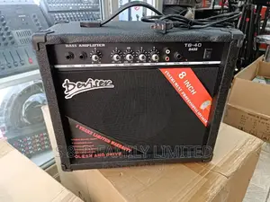 Deviser 8 Inch Solo/Bass Combo Guitar Amplifier