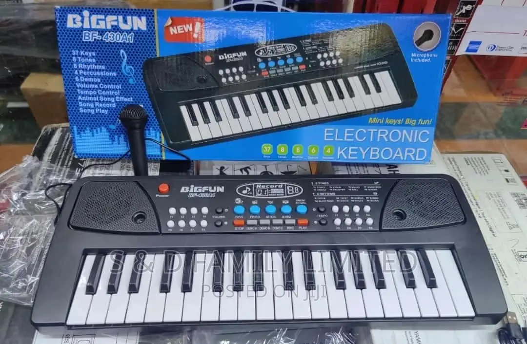 Bigfun Electronic Keyboard