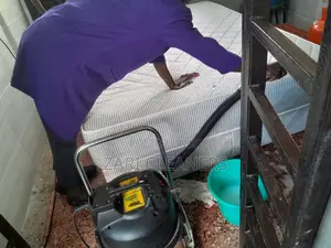 Mattress Cleaning Services in Nasra