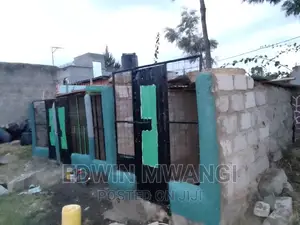 Dog Boarding