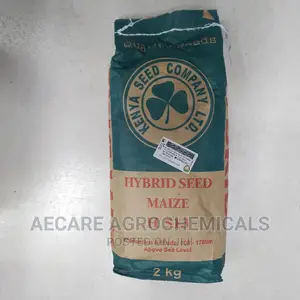 Hybrid Maize Seeds H513. 2kgs