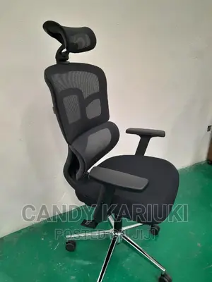 Super Comfy Orthopaedic Office Chair