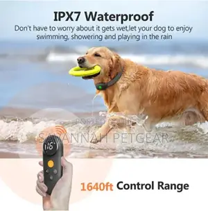 Dogs Shock Collar 500M Remote Dog Training Collar With Led