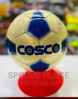 Cosco Professional Training Footballs