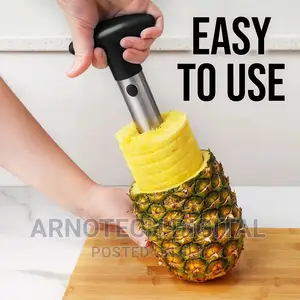 Stainless Steel Pineapple Corer / Slicer