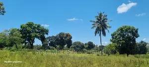 Mtepeni( Mtwapa) 6 Acre Land on Sale