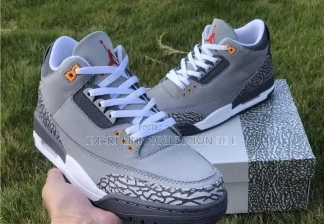 Air Jordan 3 Cool Grey