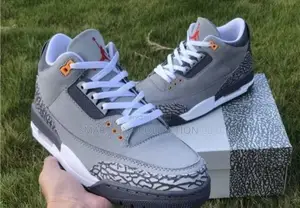 Air Jordan 3 Cool Grey