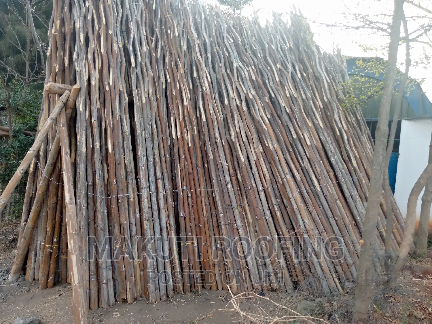 Makonge, for Sale and Delivery Services.