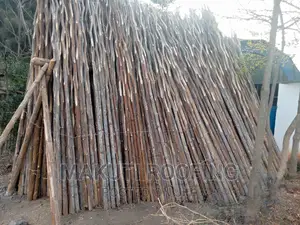 Makonge, for Sale and Delivery Services.