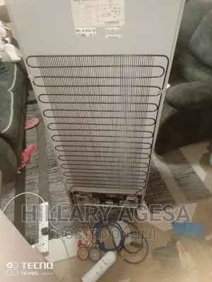Gas Fridge Maintenances