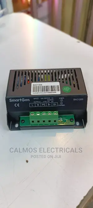 Tricle Battery Charger