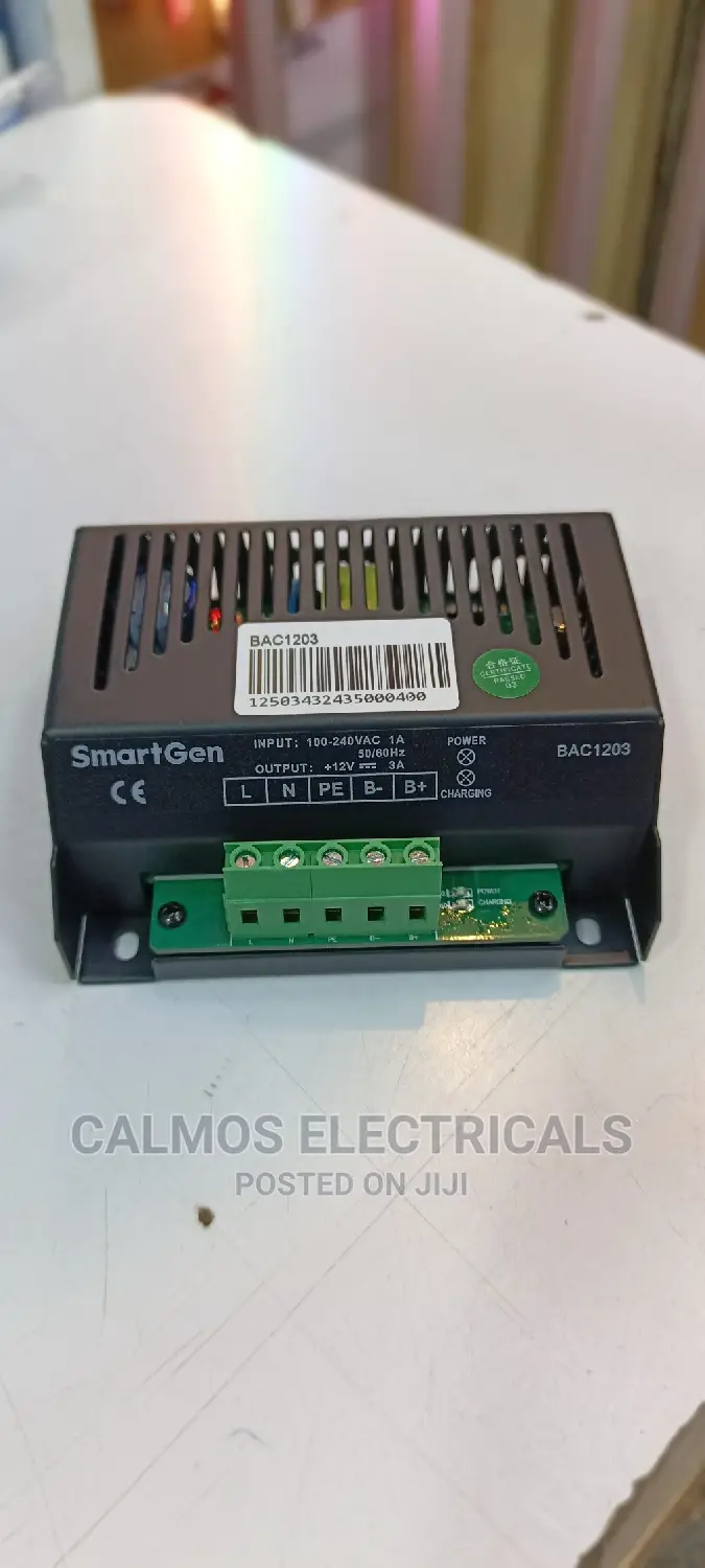 Tricle Battery Charger