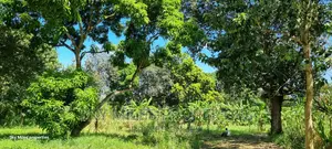Mtwapa,25-Acres Prime Land on Sale