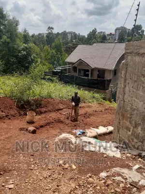 Ruaka-Ndenderu-50x100