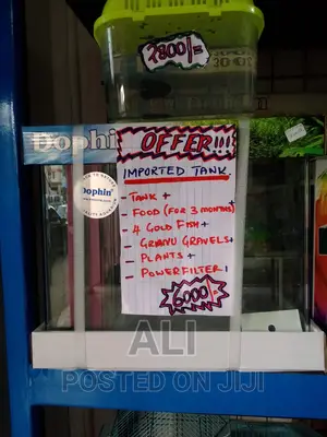Aquariums, Fish, Accesories N Birds