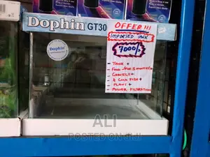 Aquariums, Fish, Accesories N Birds