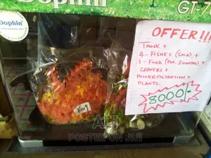 Aquariums, Fish, Accesories N Birds