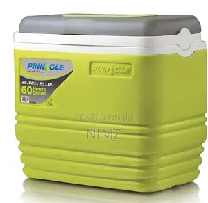 QUALITY Pinnacle 25 Litres Cooler Box/Chiller GREEN