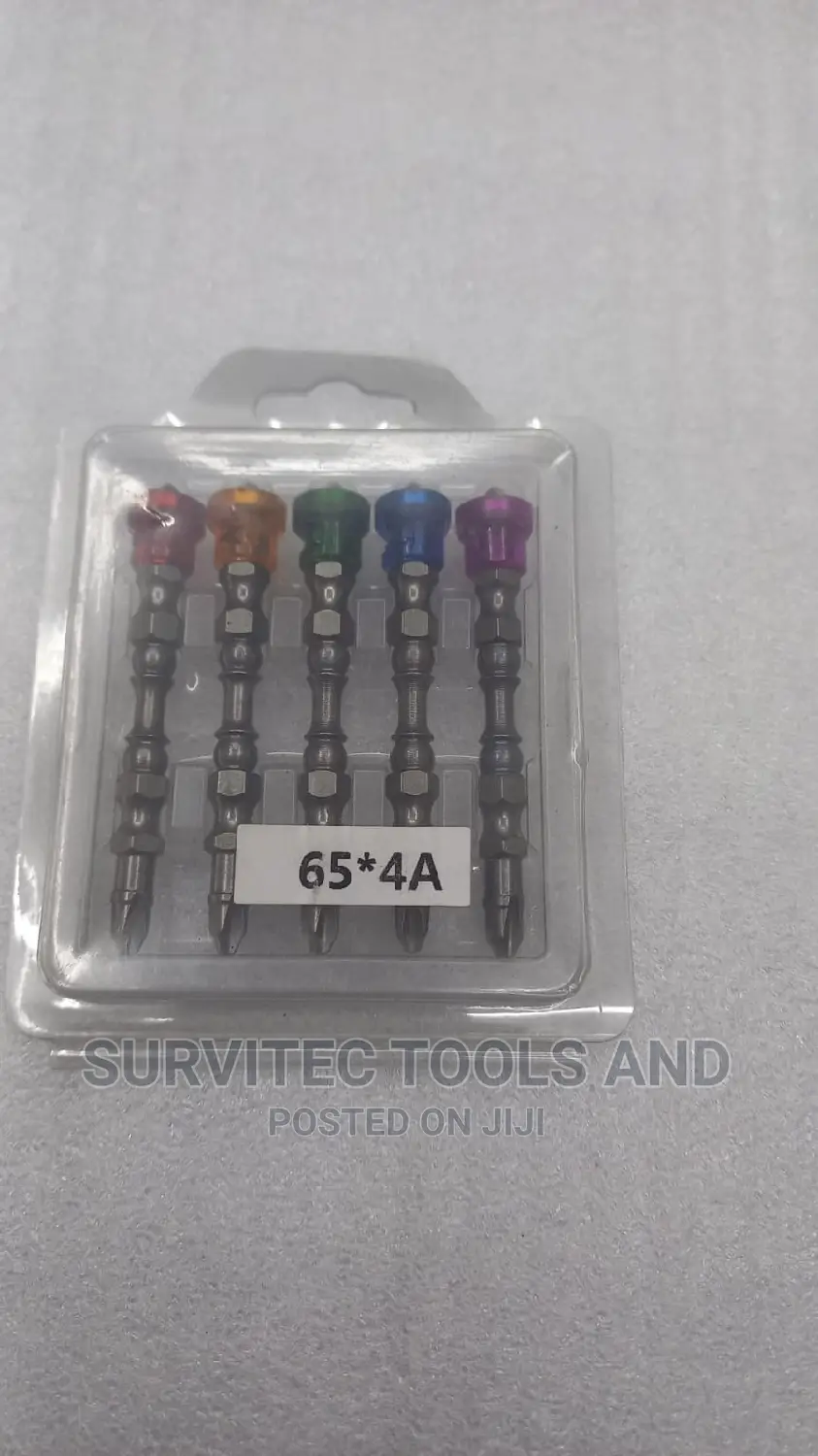 5pc Magnetic Screwdriver Bits