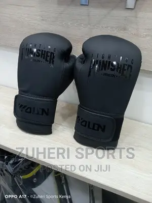 Professional Adult Boxing Gloves/Punisher 2.0/Wolon/16oz