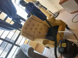 Make Your House/ Sofas Clean by Zari