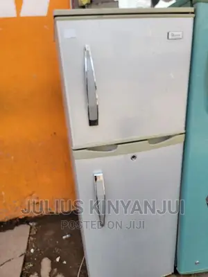 Mini Fridge Double Door