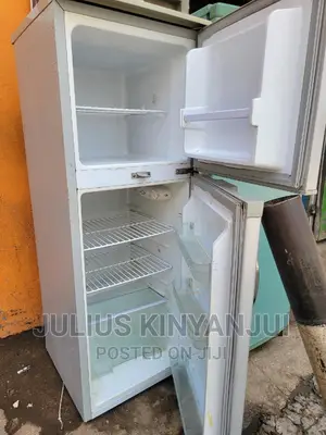 Mini Fridge Double Door