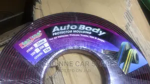 Chrome Moulding (Universal)