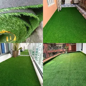 Grass Carpet Grass Carpet Grass Carpet Grass Carpet Grass