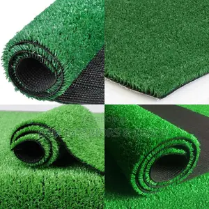Grass Carpet Grass Carpet Grass Carpet Grass Carpet Grass