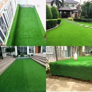 Grass Carpet Grass Carpet Grass Carpet Grass Carpet Grass