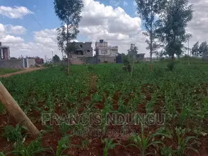 Residential 40x80 Plots for Sale Near Kiambu Town
