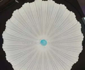 Ceiling Light /Full Moon