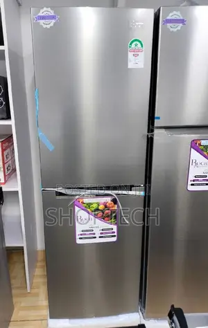 Roch With Bottom Freezer 290ltr Double Door Refrigerator
