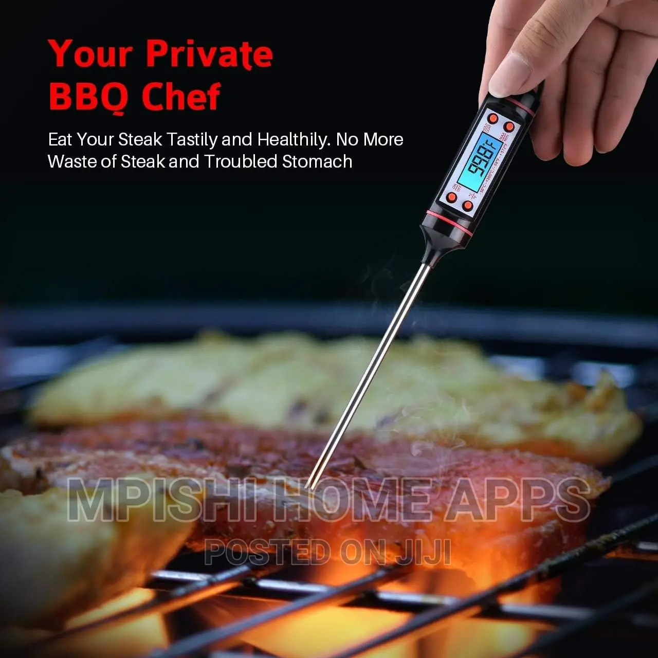 Food Thermometer