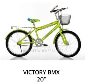 Kids Bike Size 20 (Victory Lion)BMX